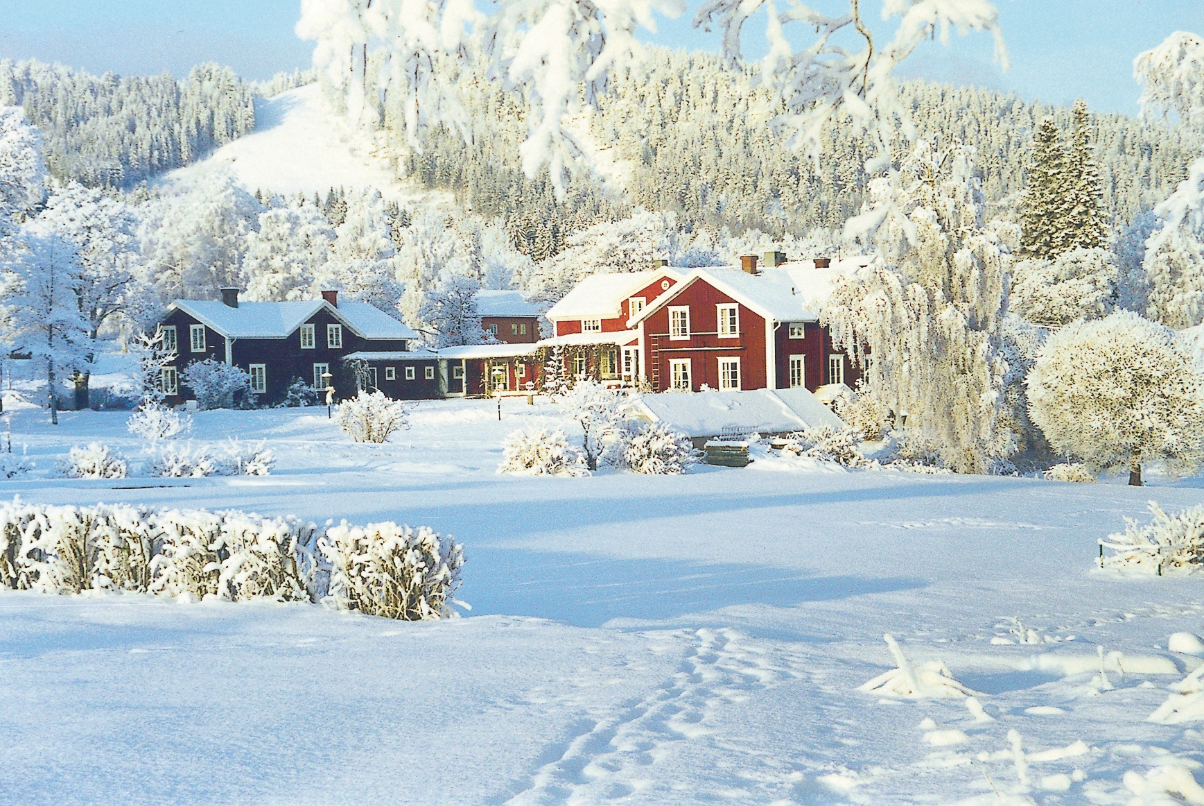 Julbord Järvsö